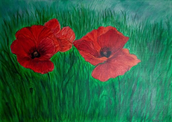 Acrylic on canvas, 70x50cm // Poppy Flowers (sold)