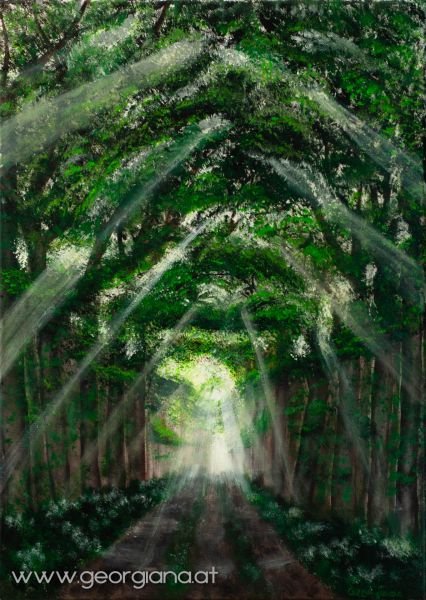 Acrylic on canvas, 50x70cm // Light Forest